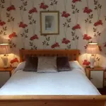 The Rio Galway