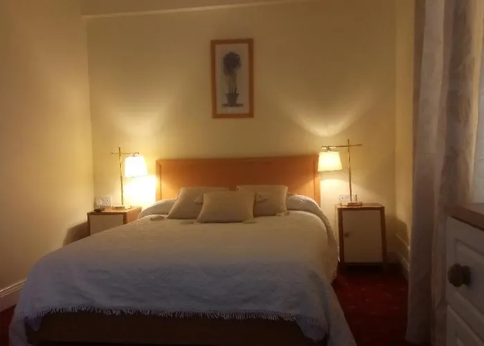 The Rio * גלוואיי