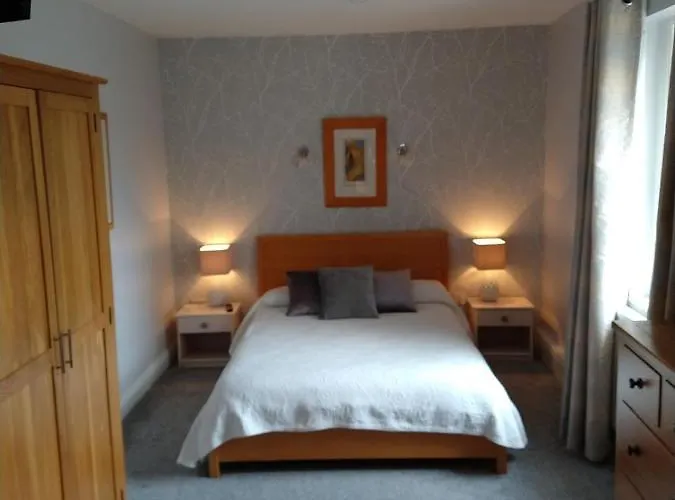 The Rio גלוואיי